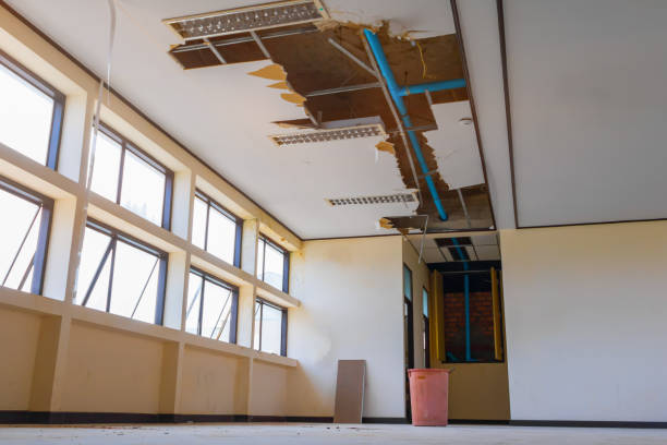 Best Water damage restoration services  in Egon City, OR