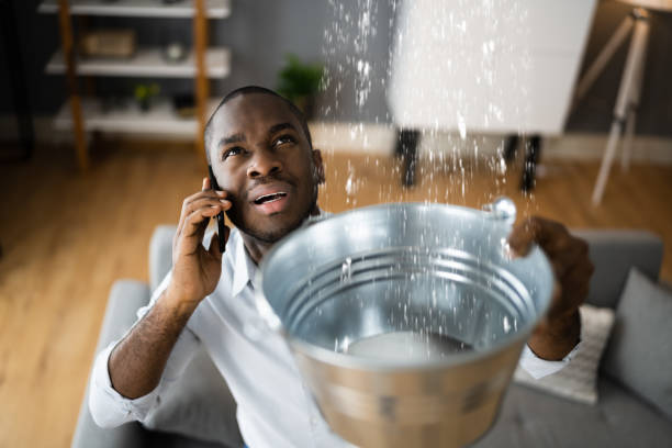 Best Ceiling water damage repair  in Egon City, OR