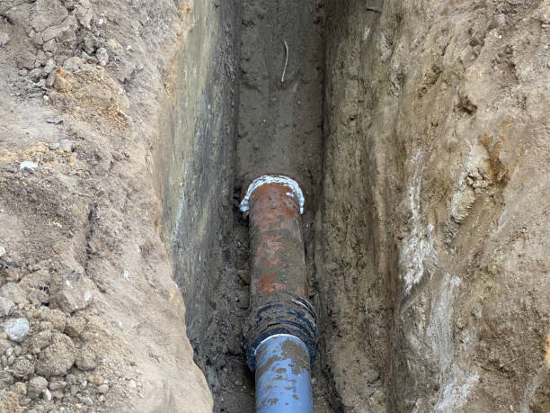Best Professional water damage repair  in Egon City, OR
